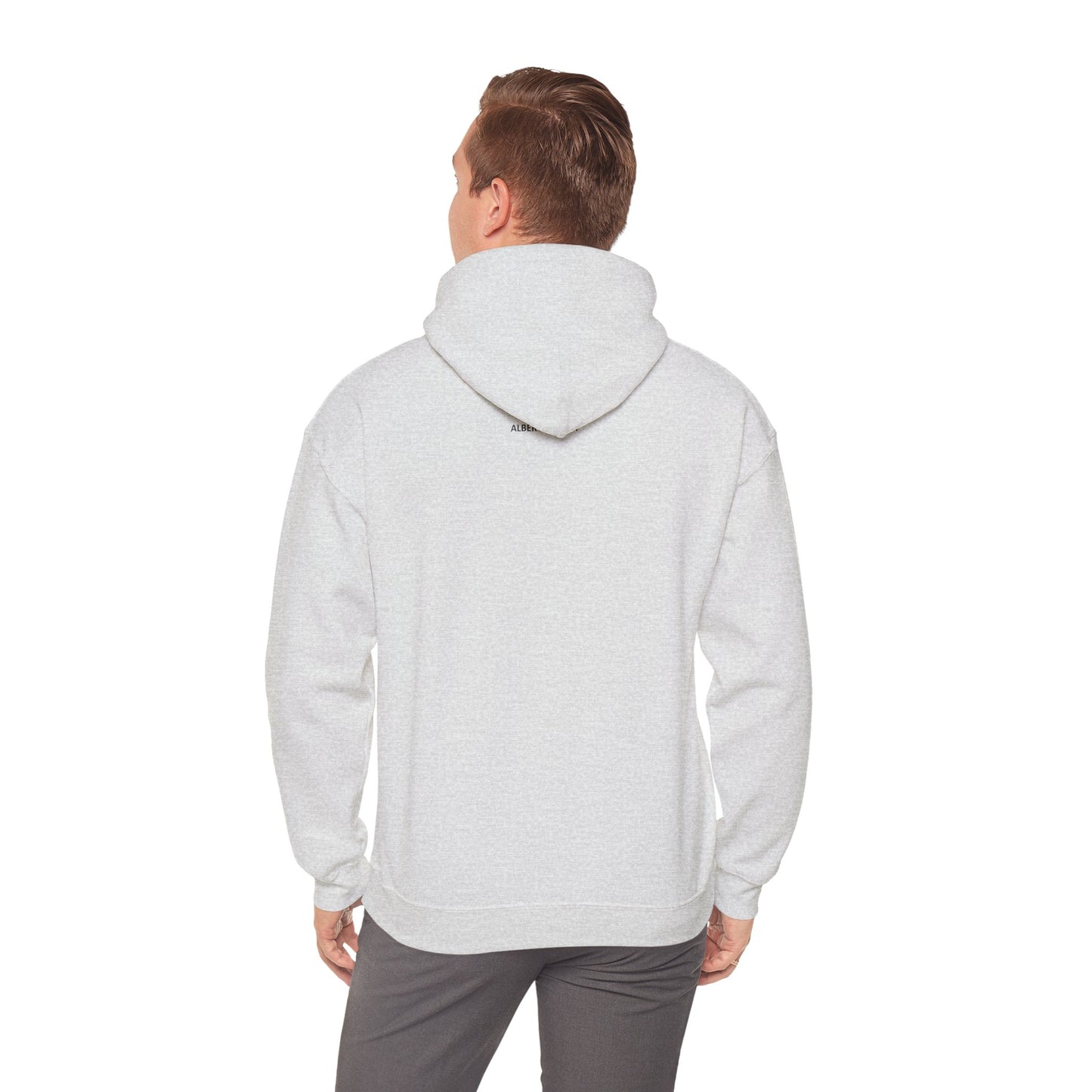 Small Diamond Hooded Sweatshirt Ash