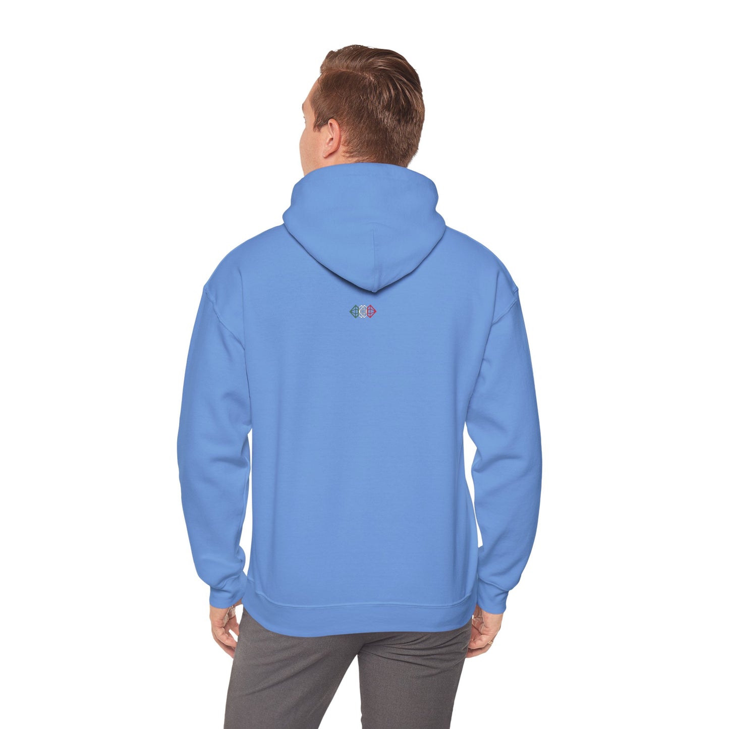 Alberto Roma Hooded Sweatshirt Carolina Blue